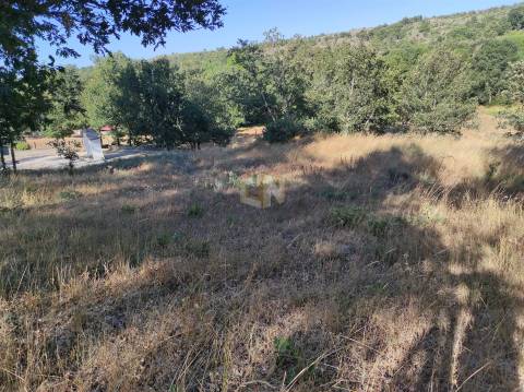 Terreno Agrícola situado na freguesia de Vale de Mourisco