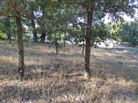 Terreno Agrícola situado na freguesia de Vale de Mourisco