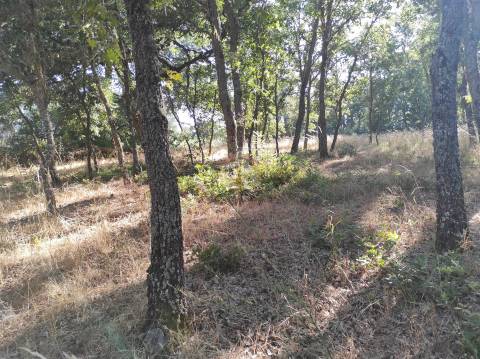 Terreno Agrícola situado na freguesia de Vale de Mourisco