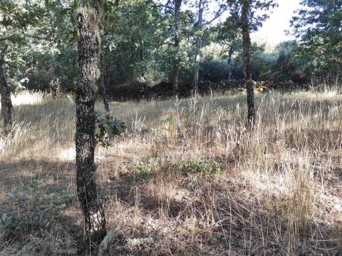 Terreno Agrícola situado na freguesia de Vale de Mourisco