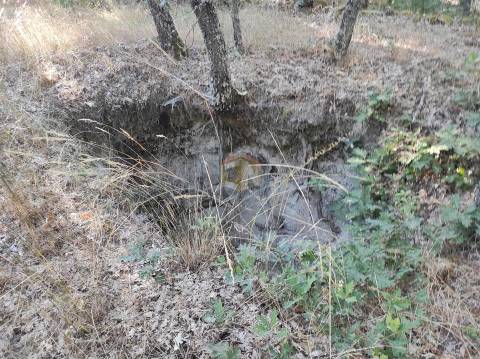 Terreno Agrícola situado na freguesia de Vale de Mourisco