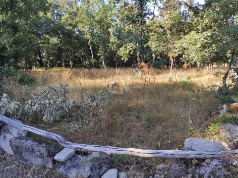 Terreno Agrícola situado na freguesia de Vale de Mourisco