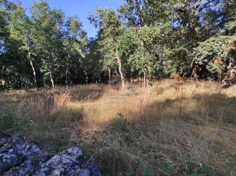 Terreno Agrícola situado na freguesia de Vale de Mourisco