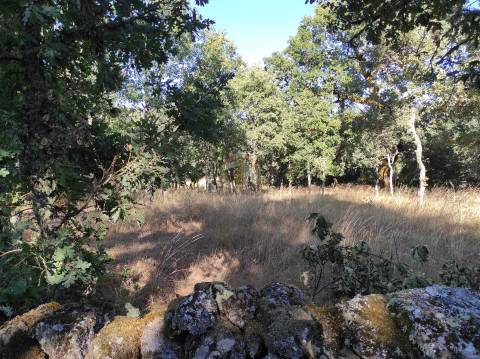 Terreno Agrícola situado na freguesia de Vale de Mourisco