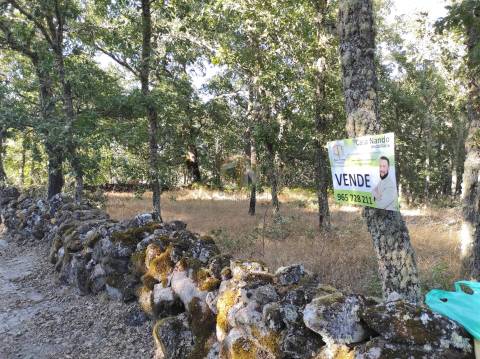 Terreno Agrícola situado na freguesia de Vale de Mourisco