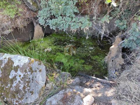 Terreno Agrícola situado na freguesia de Vale de Mourisco