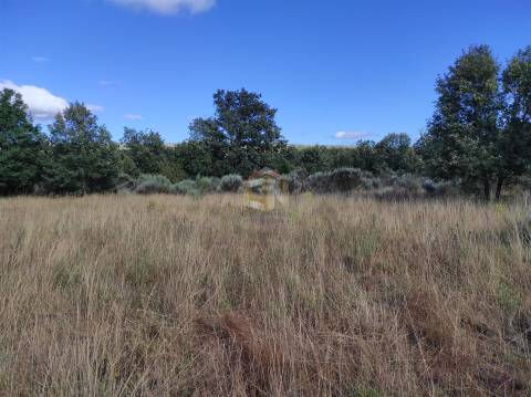 Terreno Agrícola situado na freguesia de Vale de Mourisco