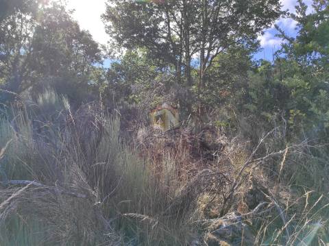 Terreno Agrícola de grandes dimensões em Vale de Mourisco