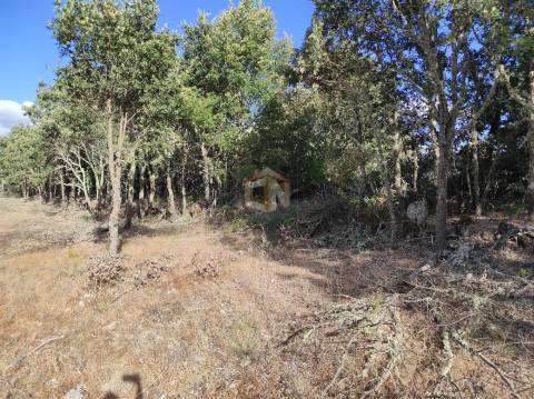 Terreno Agrícola de grandes dimensões em Vale de Mourisco