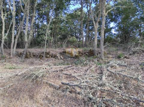 Terreno Agrícola de grandes dimensões em Vale de Mourisco