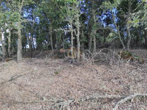Terreno Agrícola de grandes dimensões em Vale de Mourisco