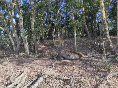 Terreno Agrícola de grandes dimensões em Vale de Mourisco