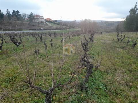 Vende-se terreno no Cerdeiral, na cidade de Sabugal