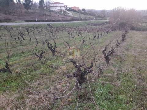 Vende-se terreno no Cerdeiral, na cidade de Sabugal