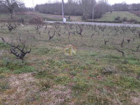 Vende-se terreno no Cerdeiral, na cidade de Sabugal
