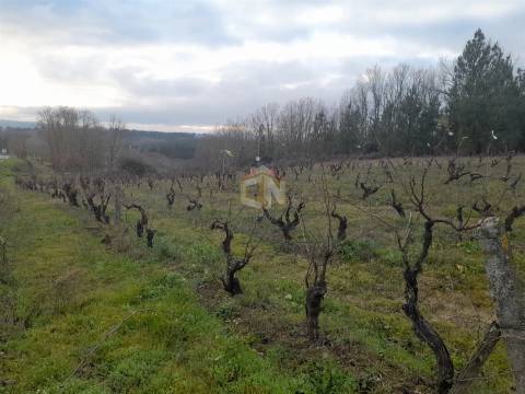 Vende-se terreno no Cerdeiral, na cidade de Sabugal