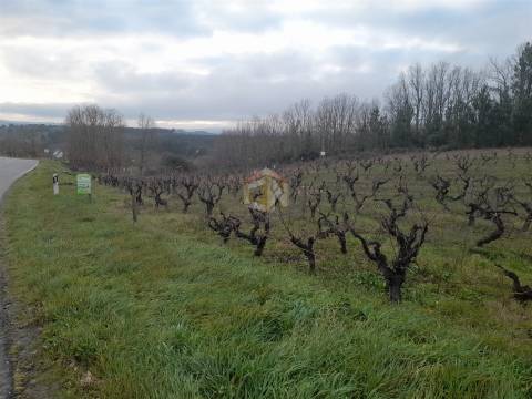Vende-se terreno no Cerdeiral, na cidade de Sabugal