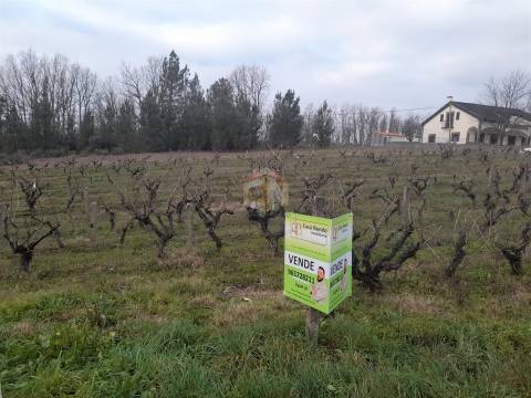 Vende-se terreno no Cerdeiral, na cidade de Sabugal