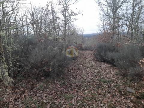 Vende-se terreno no Cerdeiral, na cidade de Sabugal