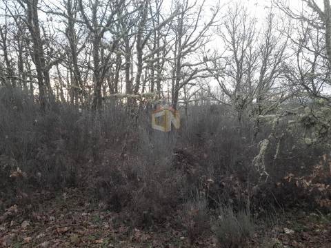Vende-se terreno no Cerdeiral, na cidade de Sabugal