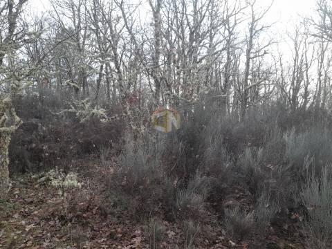 Vende-se terreno no Cerdeiral, na cidade de Sabugal