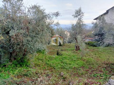 Terreno Apto para Construção com 573m2 em Belmonte