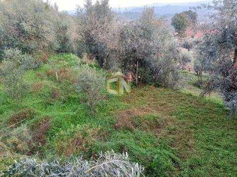 Terreno Apto para Construção com 573m2 em Belmonte