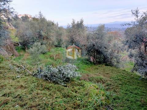 Terreno Apto para Construção com 573m2 em Belmonte