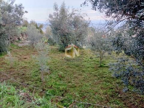 Terreno Apto para Construção com 573m2 em Belmonte