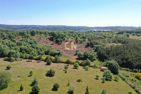 Quinta com 6 Ha com Moradia T5+T1 e Piscina Exterior