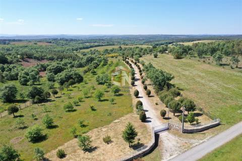 Quinta com 6 Ha com Moradia T5+T1 e Piscina Exterior