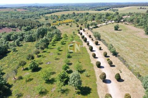 Quinta com 6 Ha com Moradia T5+T1 e Piscina Exterior