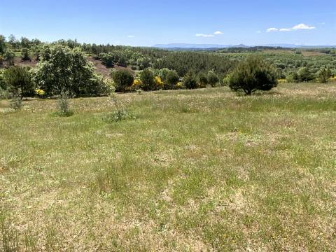 Quinta com 6 Ha com Moradia T5+T1 e Piscina Exterior