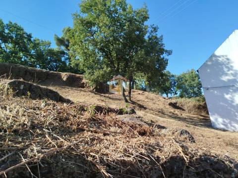 Terreno Rústico com aptidão para construção em Sabugal