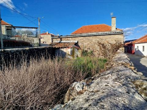 Moradia T4 com Anexo e Quintal em Foios