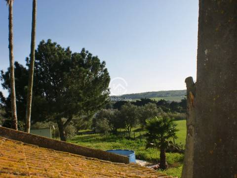 Quintinha T4 em Palmela.