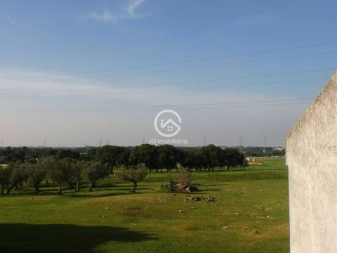 Quintinha T4 em Palmela.