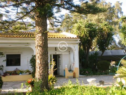 Quintinha T4 em Palmela.