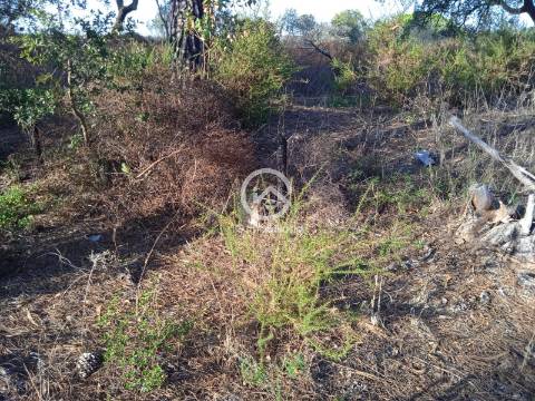 Terreno com 42.300m2 com ruína na Manteigadas em Setúbal.