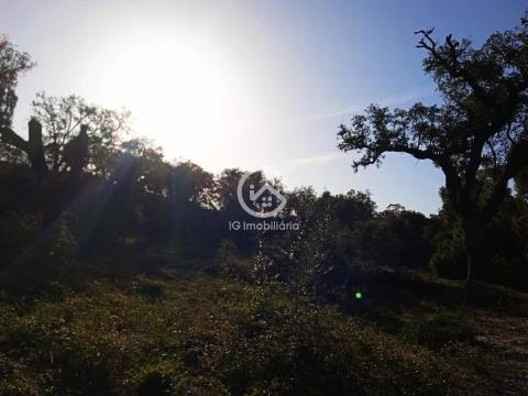 Terreno com 42.300m2 com ruína na Manteigadas em Setúbal.