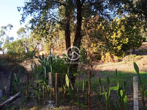 Terreno com 42.300m2 com ruína na Manteigadas em Setúbal.