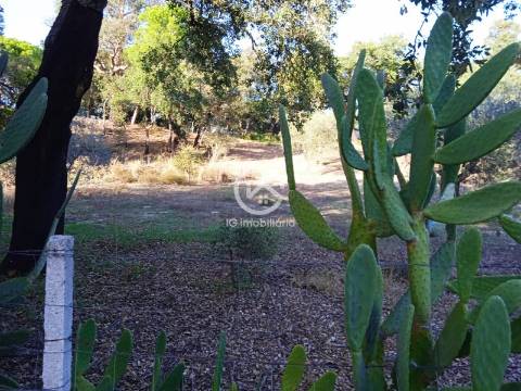 Terreno com 42.300m2 com ruína na Manteigadas em Setúbal.