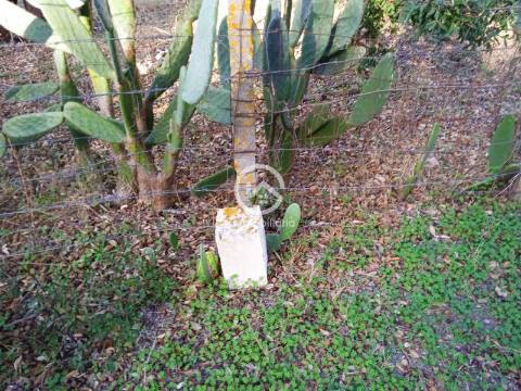 Terreno com 42.300m2 com ruína na Manteigadas em Setúbal.