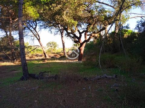 Terreno com 42.300m2 com ruína na Manteigadas em Setúbal.