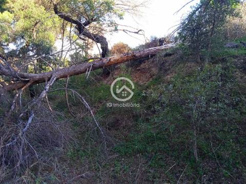 Terreno com 42.300m2 com ruína na Manteigadas em Setúbal.