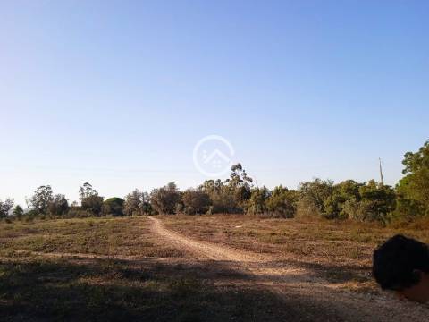Terreno com 42.300m2 com ruína na Manteigadas em Setúbal.