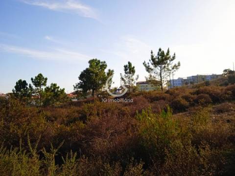 Terreno com 42.300m2 com ruína na Manteigadas em Setúbal.