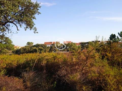 Terreno com 42.300m2 com ruína na Manteigadas em Setúbal.