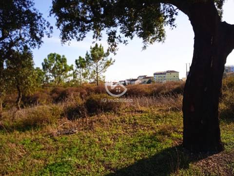 Terreno com 42.300m2 com ruína na Manteigadas em Setúbal.