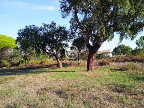 Terreno com 42.300m2 com ruína na Manteigadas em Setúbal.